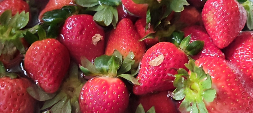 Alargar la vida de las fresas