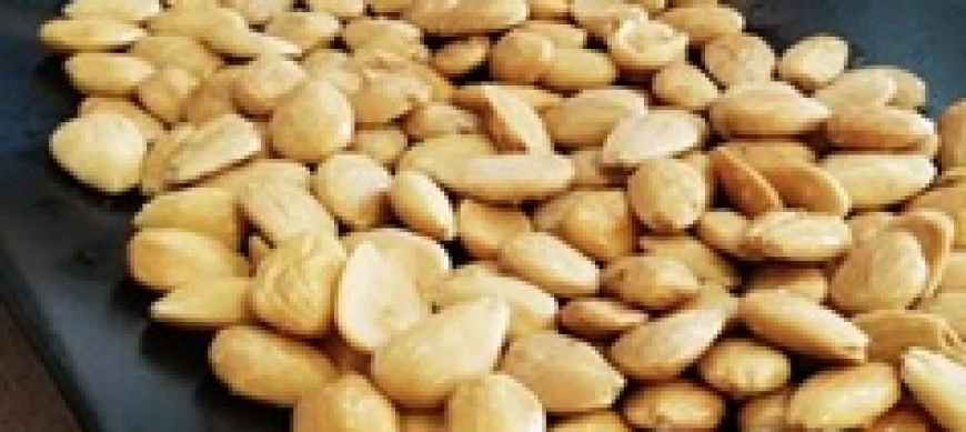 Almendras fritas con THERMOMIX